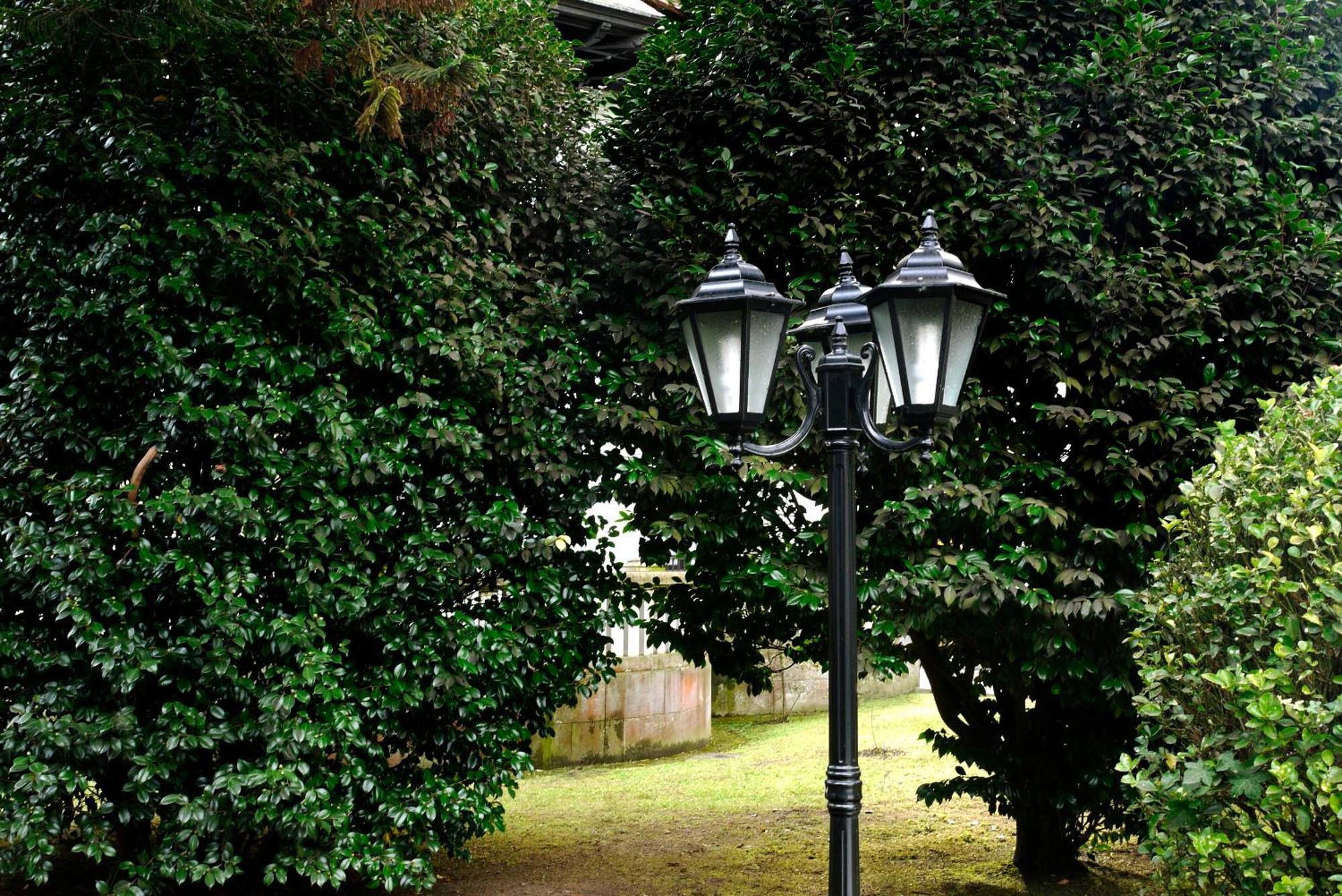 Hotel Y Apartamentos Arias Navia Bagian luar foto